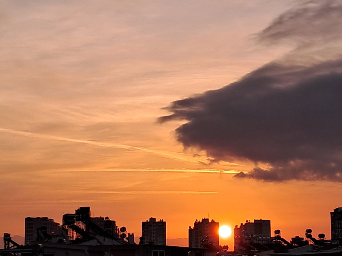 Elaa (@elaa_tkm) on Twitter photo 