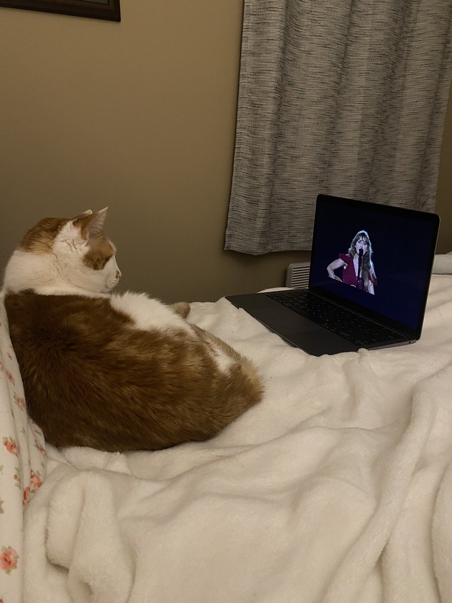 Henry’s first Eras Tour! Waiting for Meredith and Olivia to come on #TSTheErasTourTaylorsVersion <a href="/taylornation13/">Taylor Nation</a> <a href="/taylorswift13/">Taylor Swift</a>