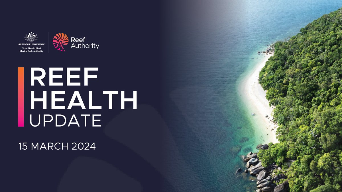 Our latest Reef health update is now available. Learn about the latest data on the current bleaching event, sea surface temperatures, rainfall, reef health and our management actions. Read the full update here: bit.ly/47Hdsz0. #ReefHealth #LovetheReef