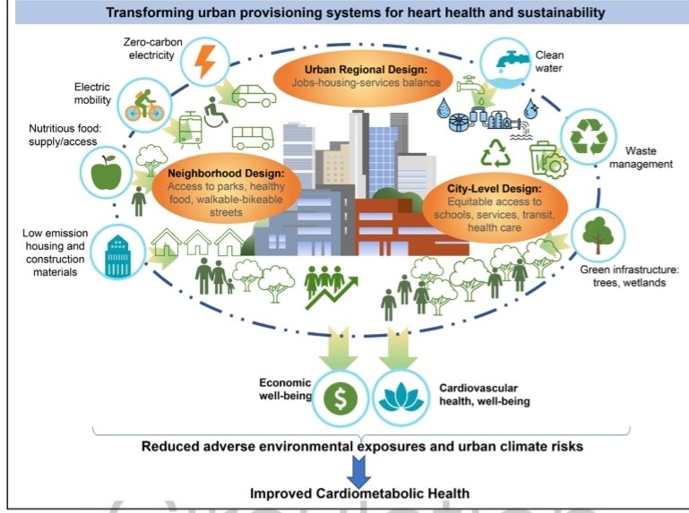 Sarju Ganatra, MD, FACC (@sarjuganatramd) on Twitter photo Toward Heart-Healthy and Sustainable Cities: A Policy Statement From <a href="/American_Heart/">American Heart Association</a> <a href="/HeartNews/">American Heart News</a> <a href="/CircAHA/">Circulation</a>
A superb in-depth conceptual framework, summarize the evidence base, and outline policy principles for transforming key urban provisioning systems to heart-health and Toward Heart-Healthy and Sustainable Cities: A Policy Statement From <a href="/American_Heart/">American Heart Association</a> <a href="/HeartNews/">American Heart News</a> <a href="/CircAHA/">Circulation</a>
A superb in-depth conceptual framework, summarize the evidence base, and outline policy principles for transforming key urban provisioning systems to heart-health and