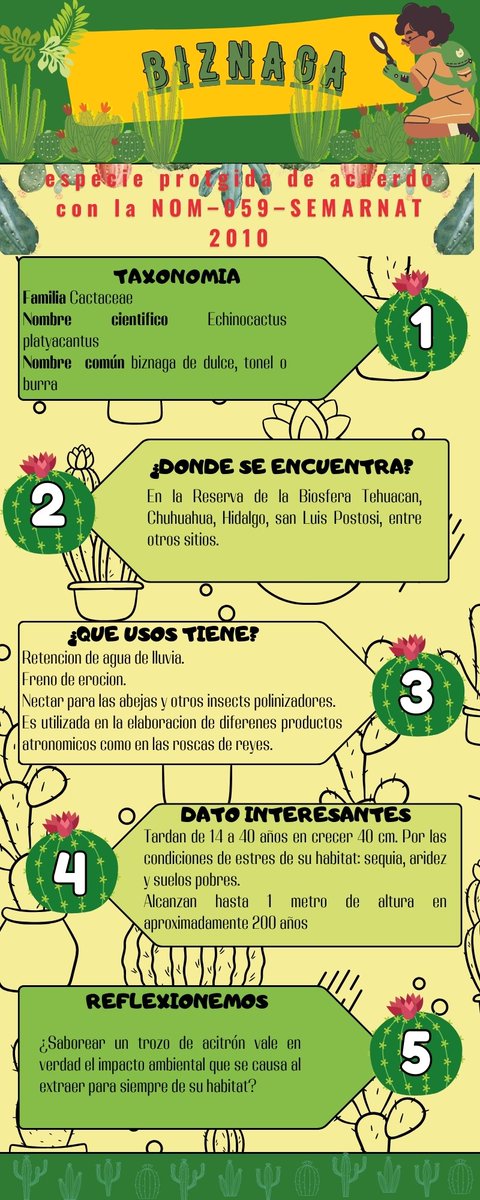 Radio_Forestal's tweet image. #captus
#MedioAmbiente