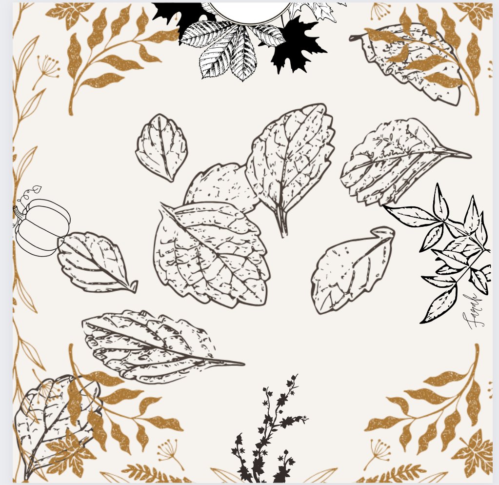 Grey spring...

#फrah #farahnaseem #spring #leaves #grey