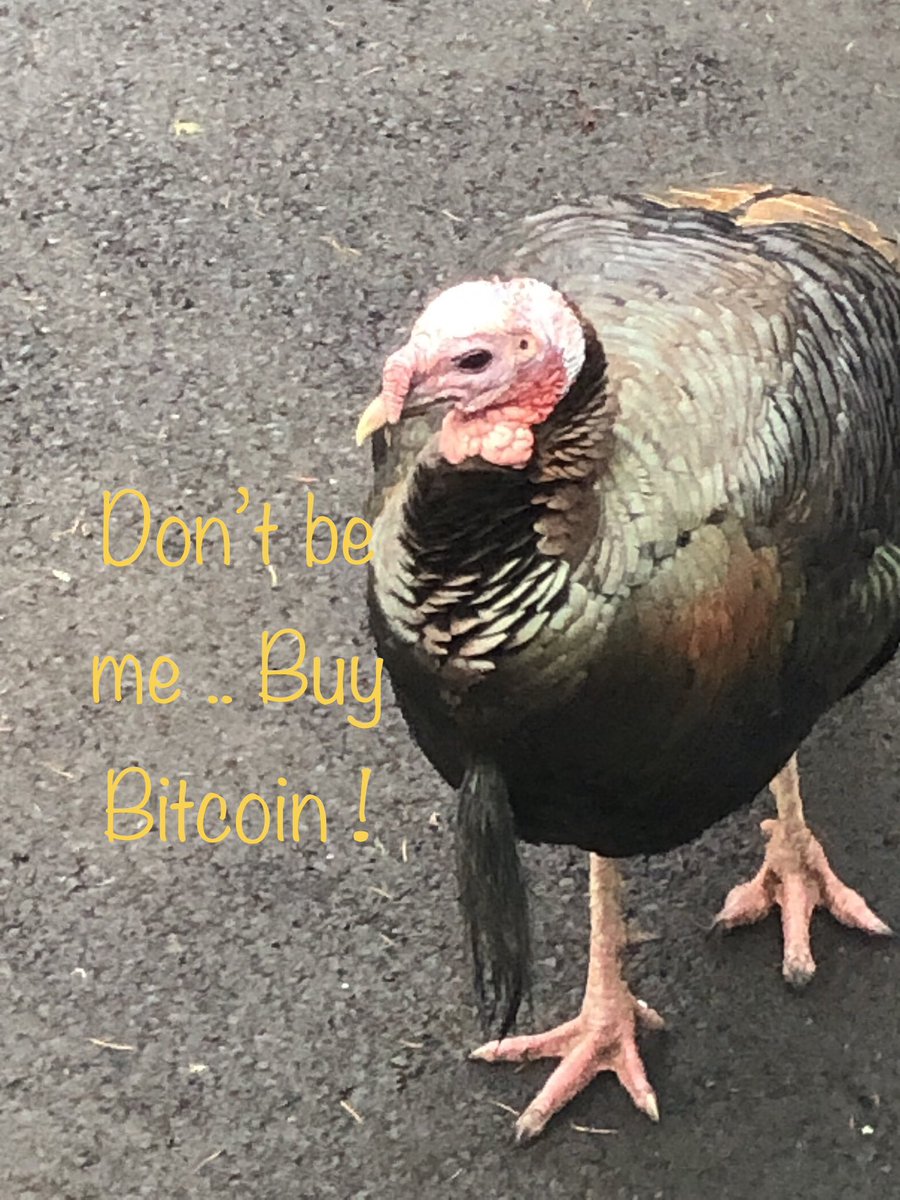 little greenie voice tweet media