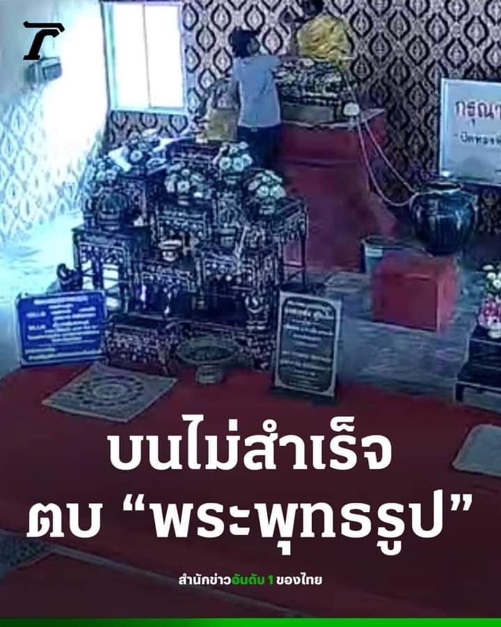 𖧷 เเมวจ๋อง ꒰ʷᵒᶰᶤᵉ꒱ ◜🐈◞ tweet media