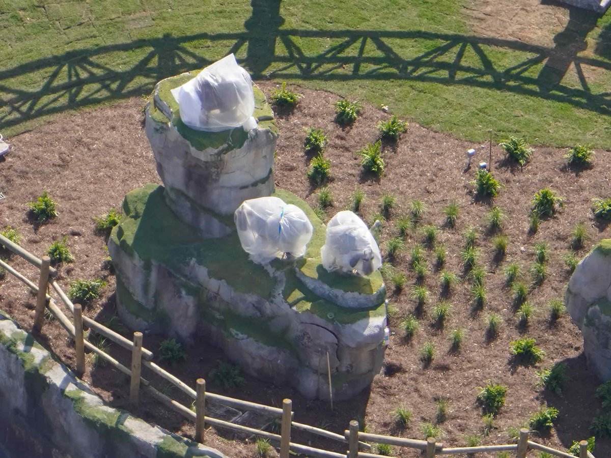 bioreconstruct tweet media