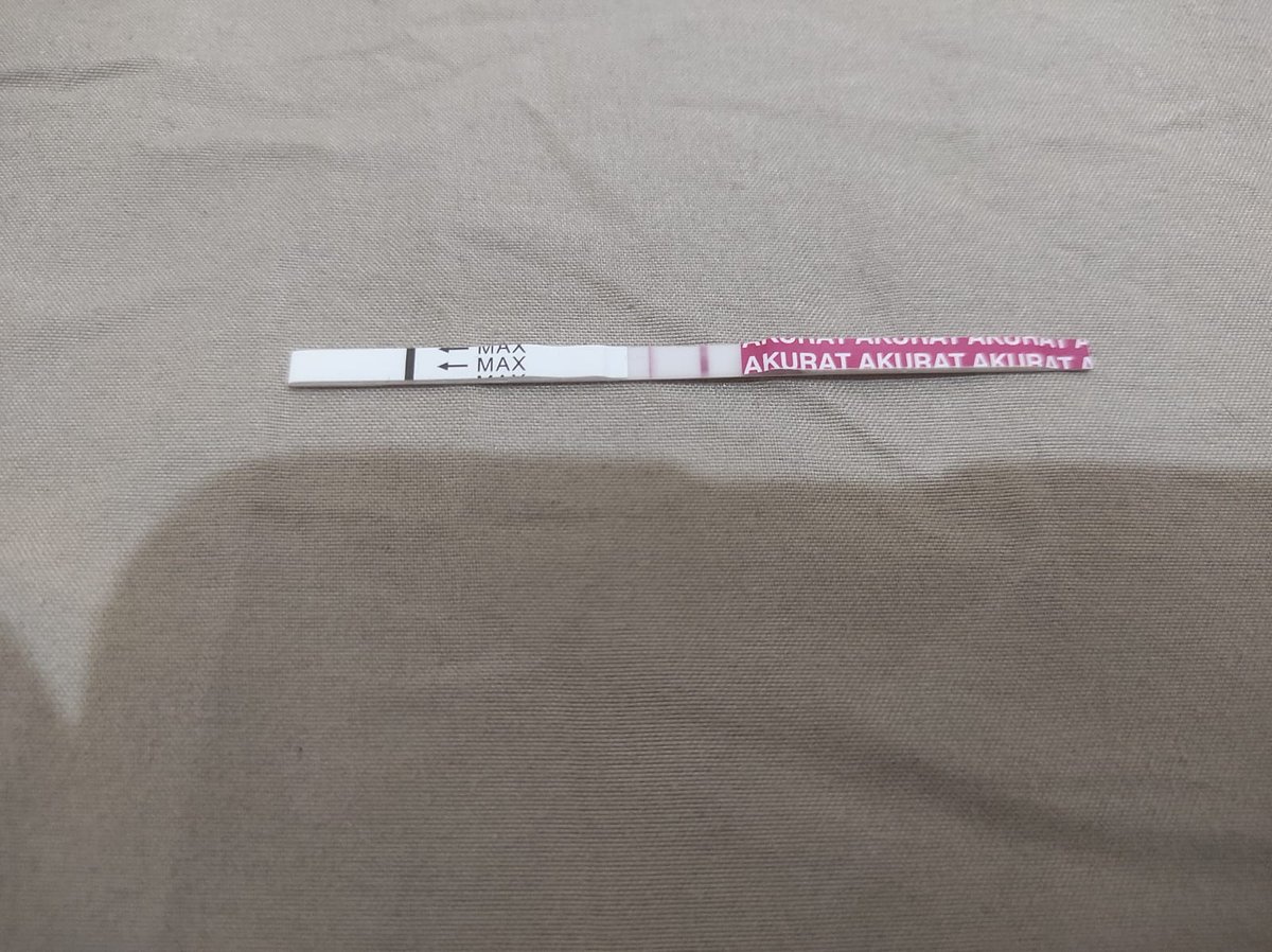 Williams Flavian Pita Roja tweet media