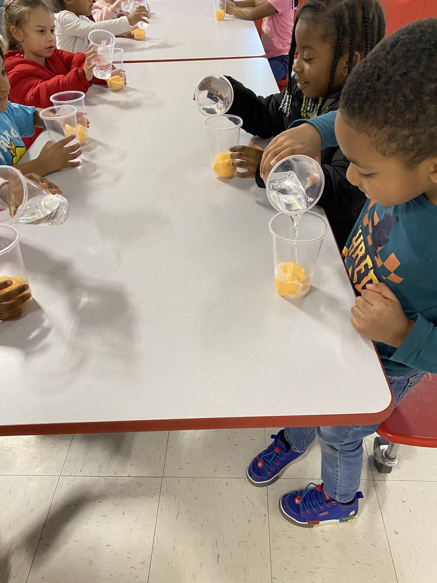 MrsPayne_K's tweet photo. Science experiments with the Kindergartners @MTCChampions. We observed the states of matter with ice cream floats. Three states in one cup. We were so excited and it was a delicious experiment. @HamptonCSchools @HCS_TitleI https://t.co/YdXoxog5S0