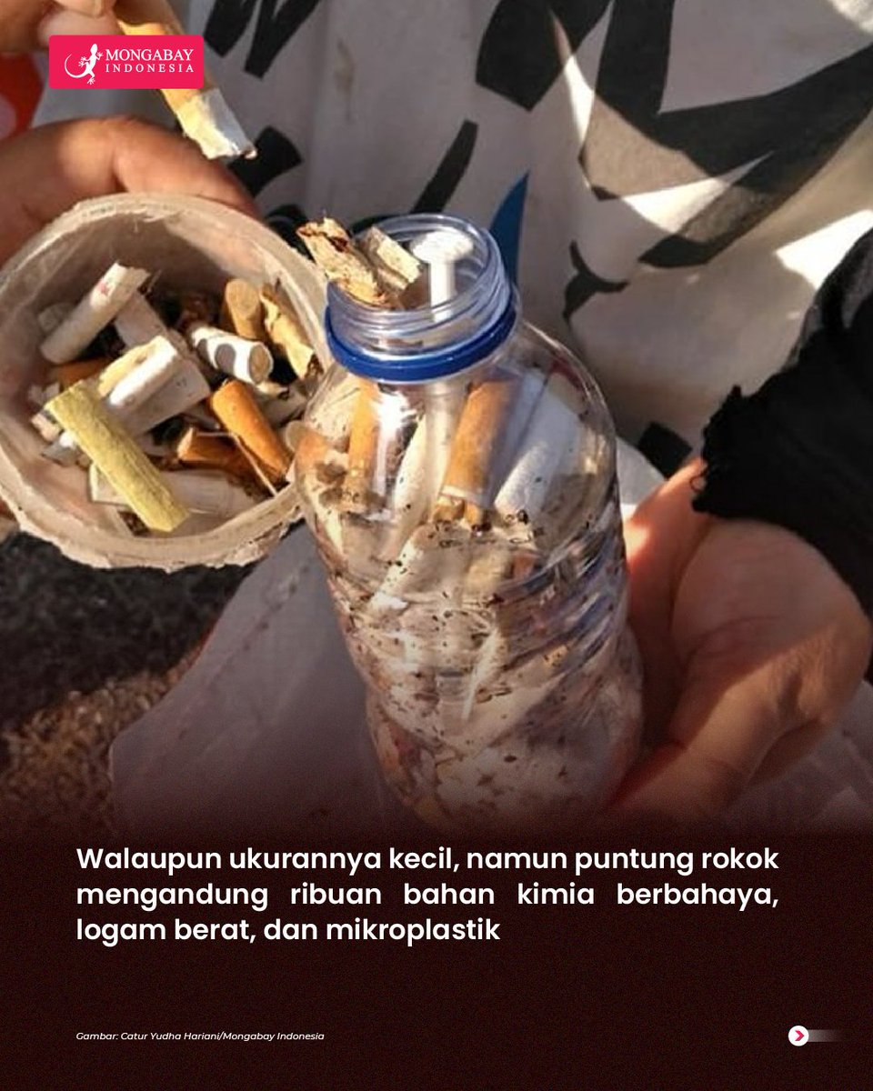 Mongabay Indonesia tweet media
