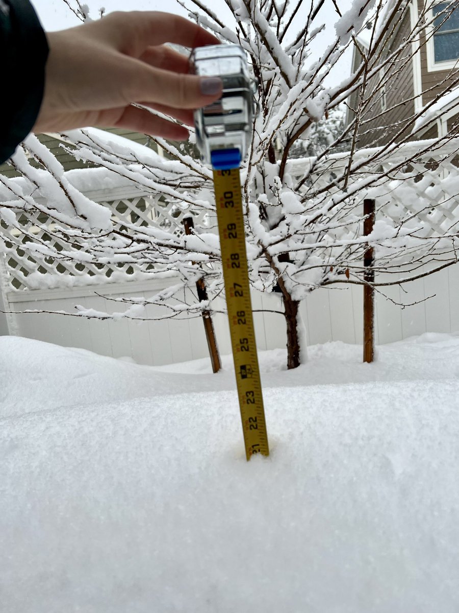 Katie McWilliams tweet media