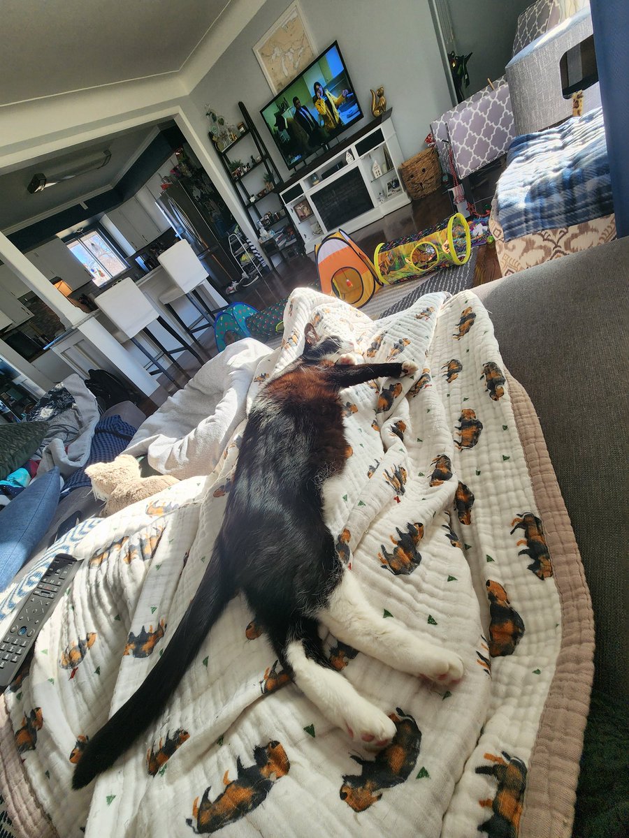 One of the humans day of birth is today <a href="/CoachVTweets/">Jamie Vandenburgh</a>. I napped to celebrate, wake me up for cake.