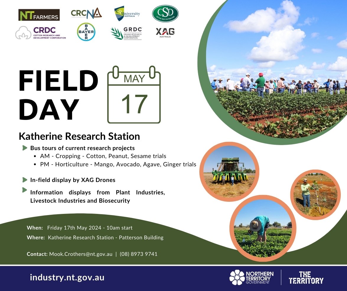 Join us for the cropping and horticulture field day at Katherine Research Station, 17 May. ☁ 🌱 🍈 🥜 🥑 Details to register 👇 #DevelopingNorthernAustralia #agriculture #horticulture #research
