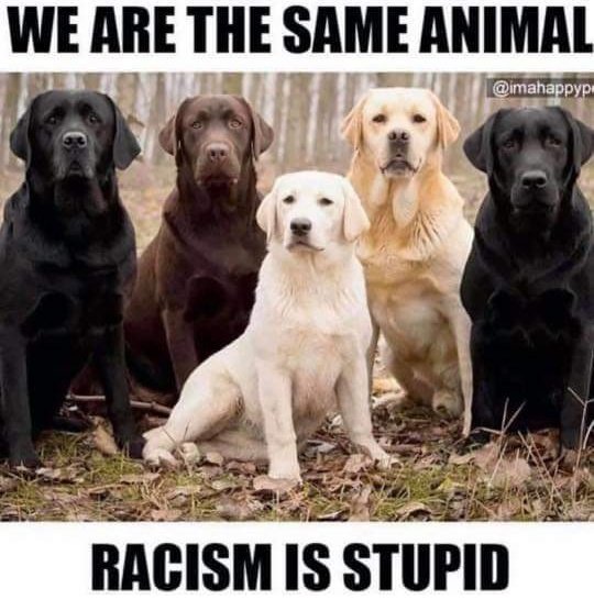 KRCompanion's tweet image. #Seconded 

👇👇👇 #GetWokeGoBroke