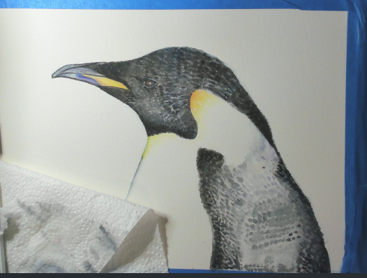 DaniGrilloart's tweet photo. live now painting this watercolor piece , come hang out and say hi!! https://t.co/evmT8esb4a
#art #myart #danigrillo #penguin #furry #nowlive #furryart #animal #portratit #stream #twitch https://t.co/ahNFjrXVrI
