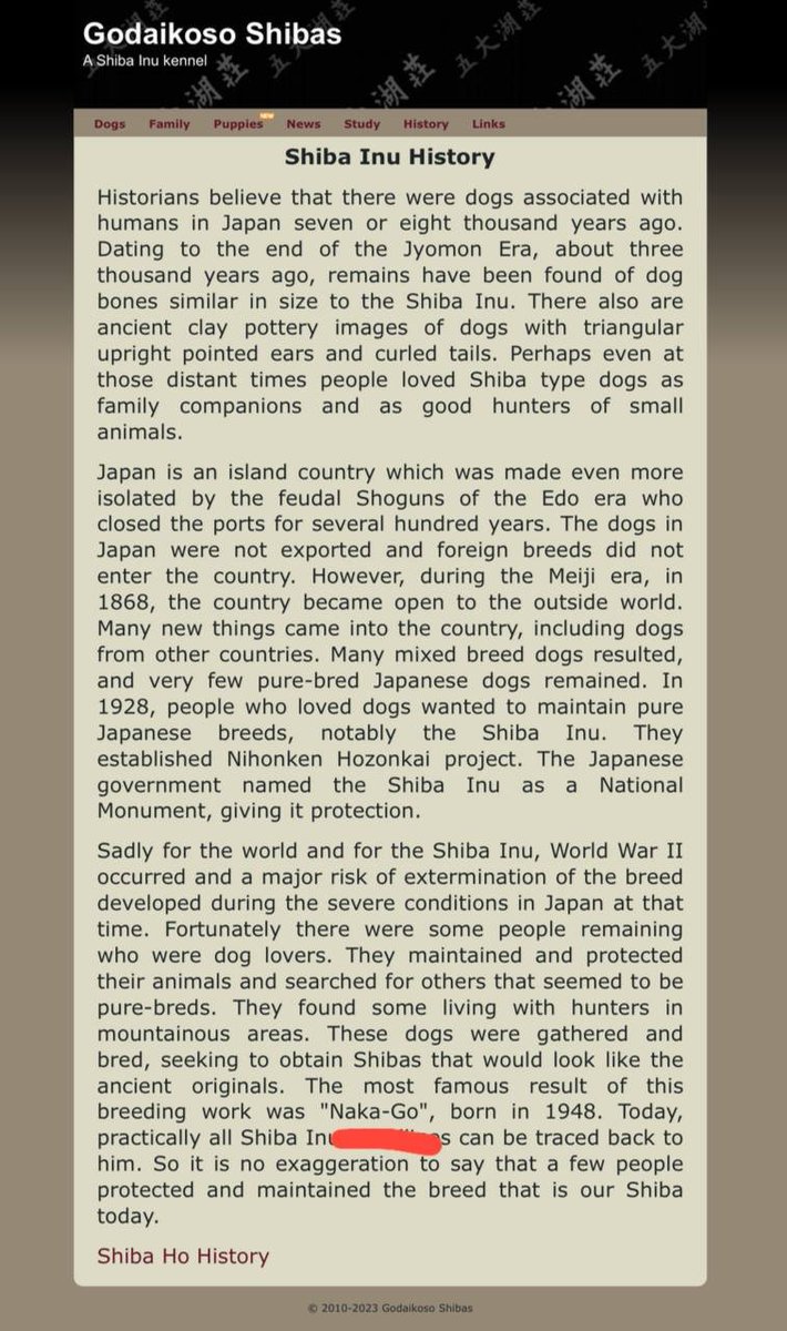 Please head over to the new tg. tweet media