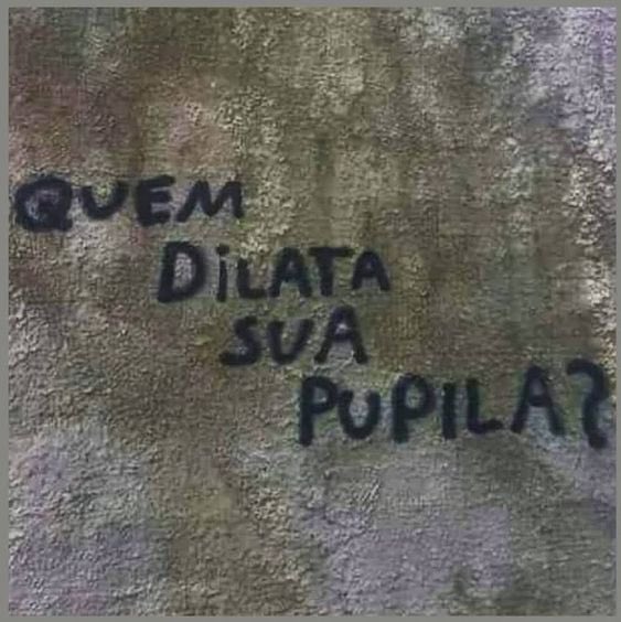 reescrevi_frase's tweet photo. https://t.co/M1VX57Ypqe