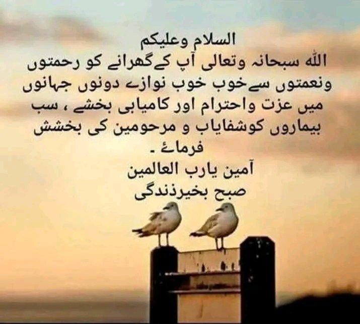 Assalamualaikum
Subh Bakhair ❤️
Have a Blessed Friday 😊