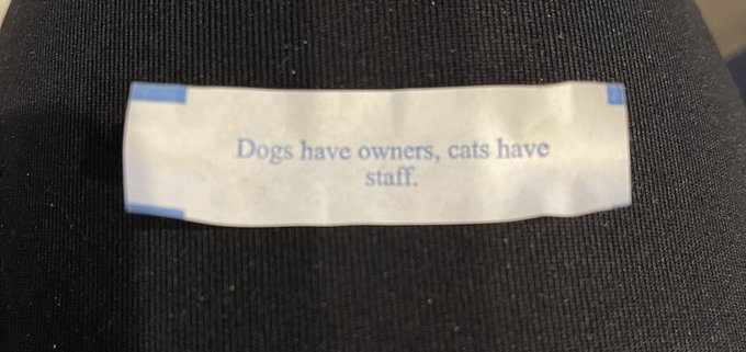 Even fortune cookies are stealing memes now https://t.co/7sJbPXIgVk
