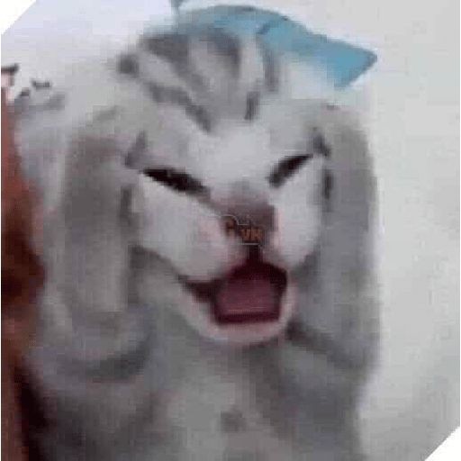 poorxie's tweet photo. Fazendo questão de enem (matemática) depois de um dia de aula de neuroanatomia (+fisiologia) [manhã e tarde] https://t.co/vHfWQQLIlh