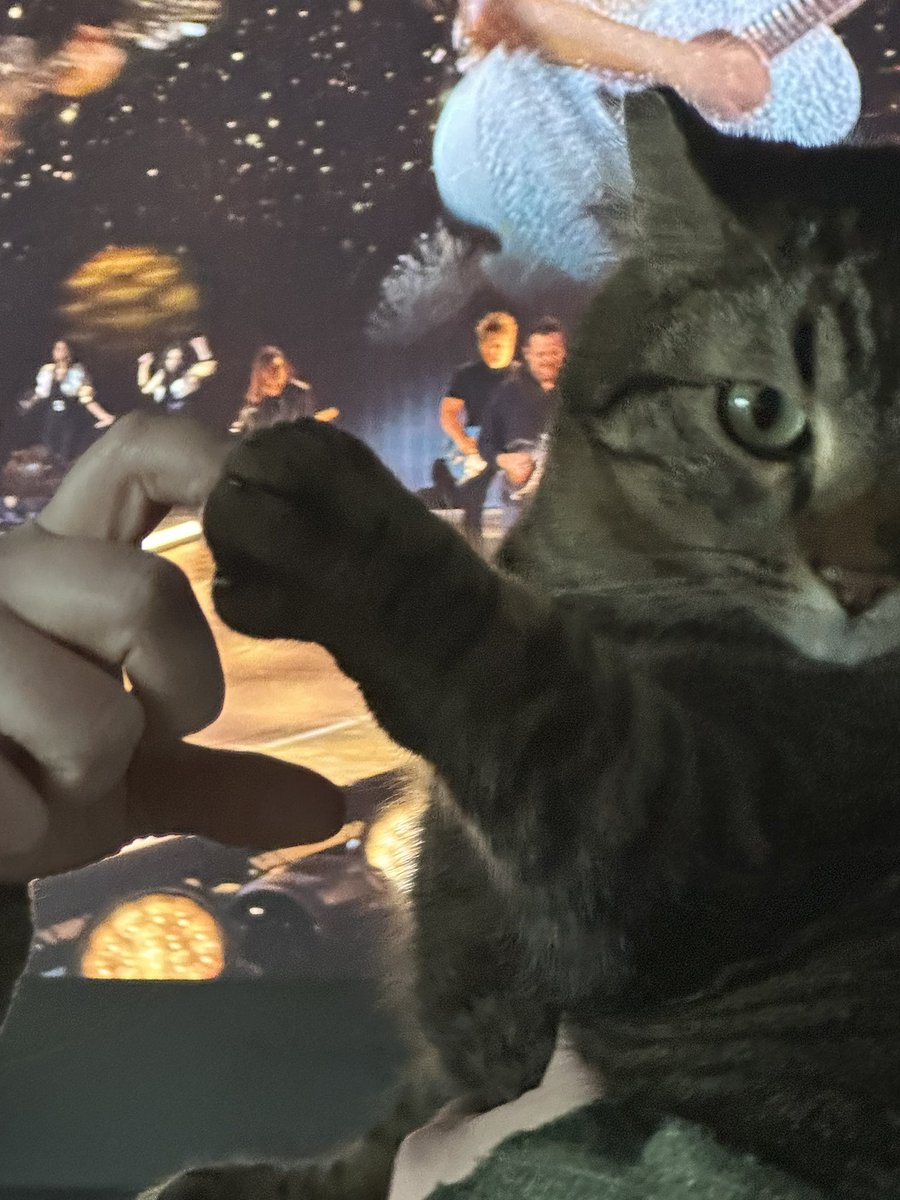 MelissaEnchant's tweet photo. I don’t know if it gets better than this! Take my paw and lead me head first fearless! ✨ 💖 

@taylornation13 @taylorswift13 #TSTheErasTourtaylorsversion https://t.co/fkcFdzT7Zs