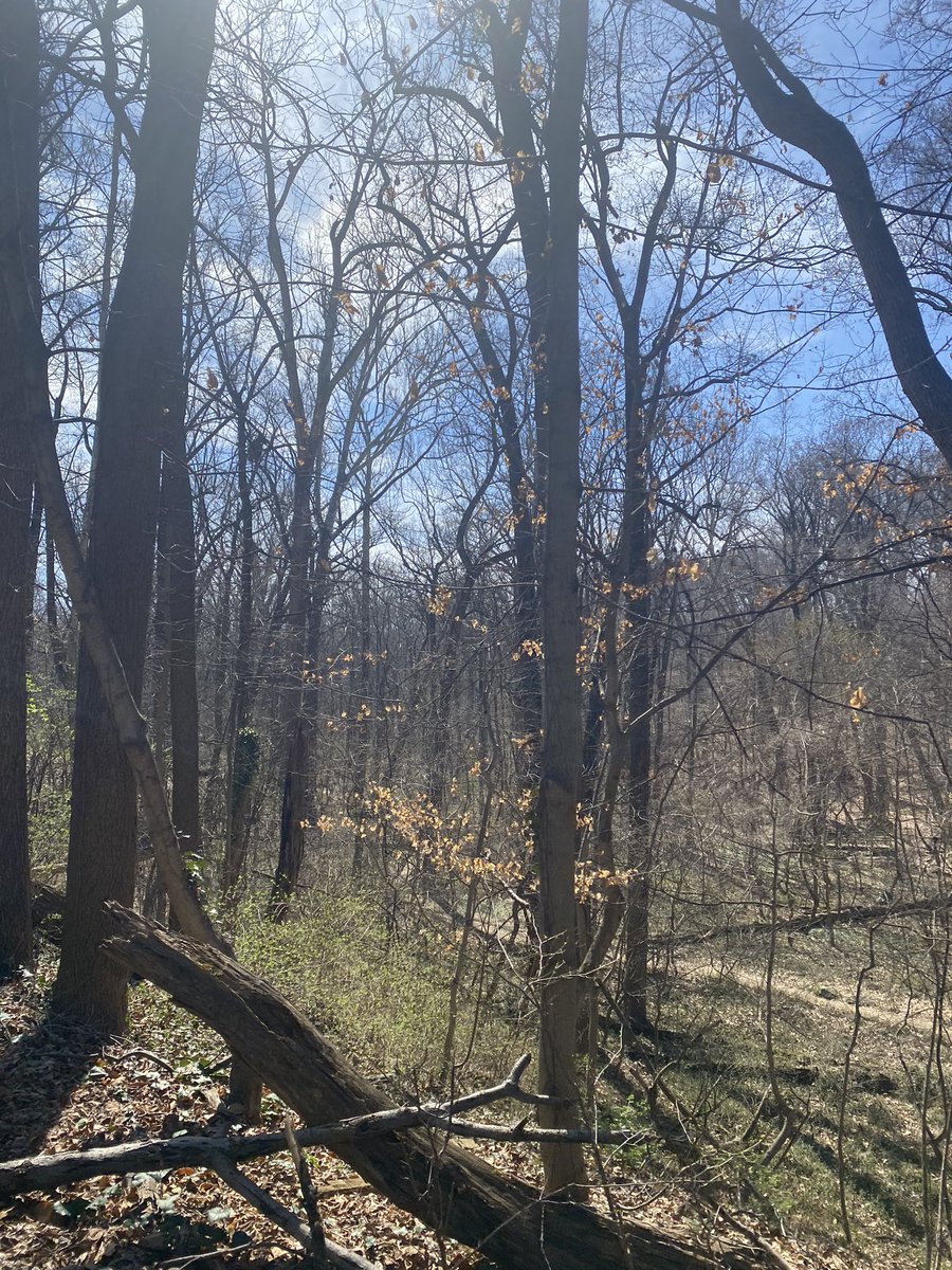 ElanaMintz202's tweet image. It’s not a time to stay inside! #ClimateChangeEducation is essential to helping children understand, adapt, &amp;amp; grow into adults who are ready to engage and find solutions. (3/3)
@CaseyTrees @NatlParkService @dcpublicschools @dcpcsb @DCSBOE @councilofdc 
#ThisIsOutdoorLearning