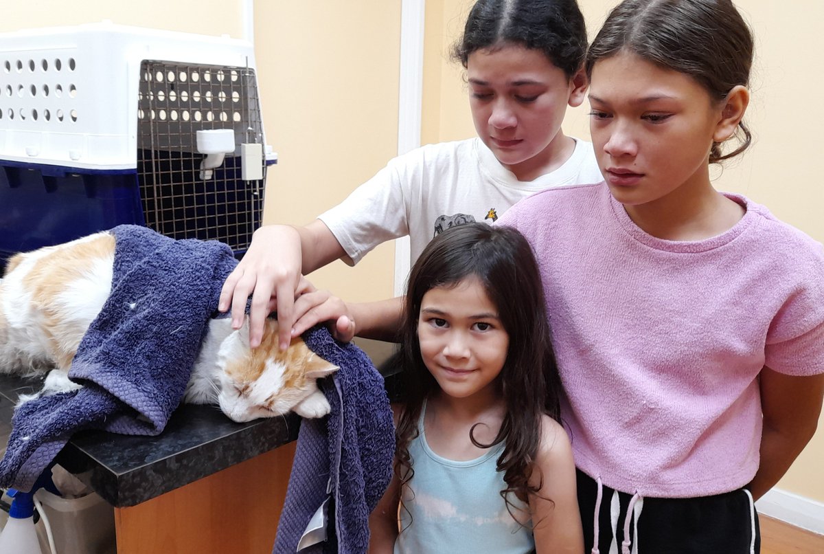 The past couple of days have been heavy... 

My little Witches had to say an unexpected goodbye to their beloved familiar.

Let me tell you, grief hits differently when you have to watch your kids go through it first-hand 😭💔 my gosh... 

RIP, PussPuss
We love &amp; miss you!!