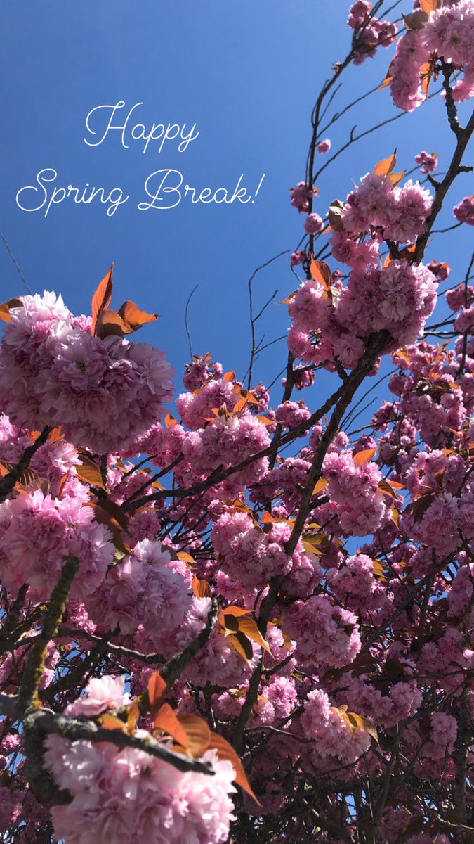 Have an amazing Spring Break, Wildcats! 
Enjoy the break, relax, rest and recharge.
We will see you all back to school on Tuesdays, April 2nd! 
#SpringBreak
#relaxrestrecharge
#Wildcats
#McMathPRIDE