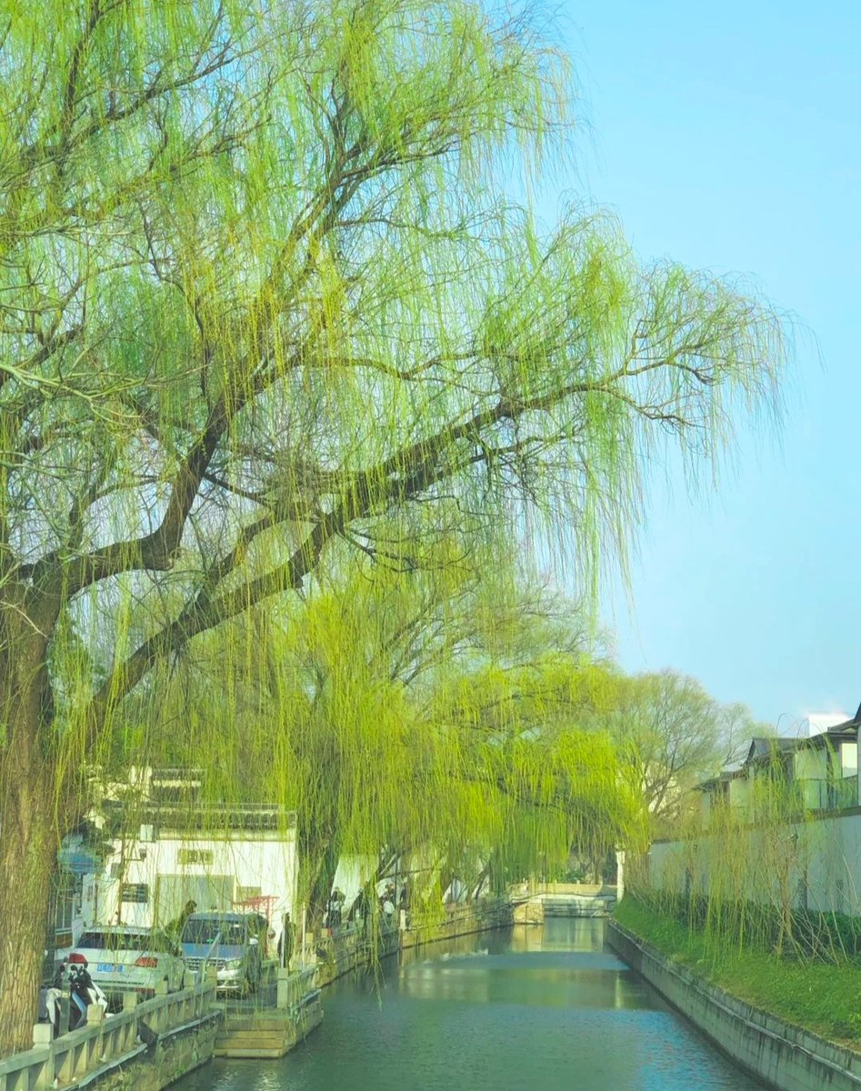 春风又绿江南岸
The south bank is getting green with the spring breeze.
#GreenChina