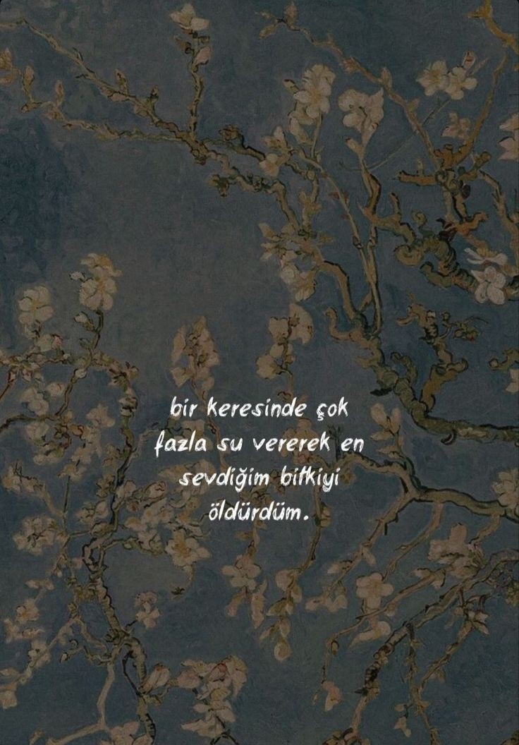 Bitkinin bununla alakası yok