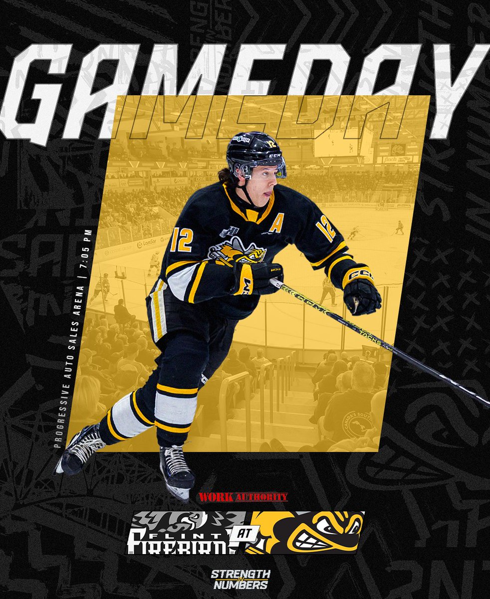 Sarnia Sting tweet media