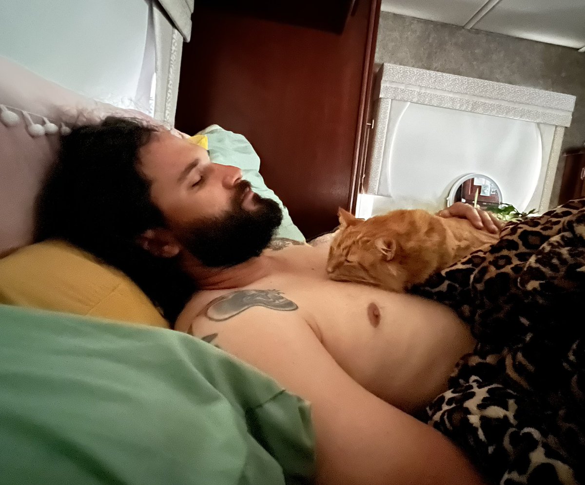bleapbloop's tweet photo. I wake up and go to bed to this every day! https://t.co/q40TZ9TA8T
