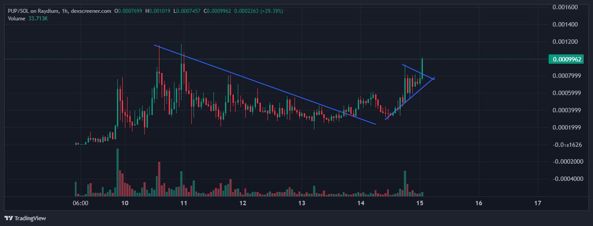The accumulation of the cutest $PUP out there that we warned you about 

 Send it so much higher 🚀
