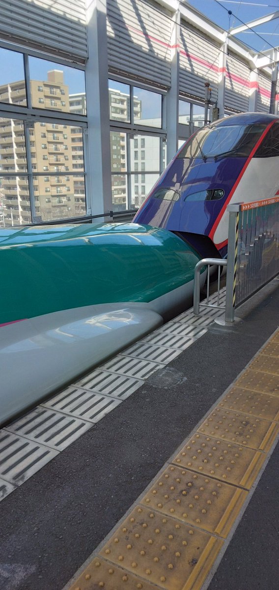 trainTJraina's tweet photo. 福島駅にて
E5系とE3系がもう連結してたとは https://t.co/Z0MUBdh5Ej