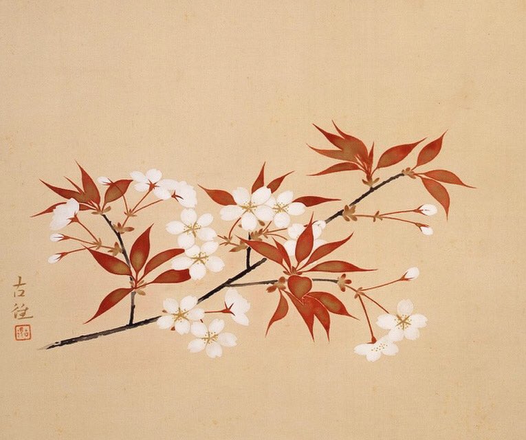 _____yohaku's tweet photo. 小林古径《桜花》
https://t.co/FkaiGb9mqh