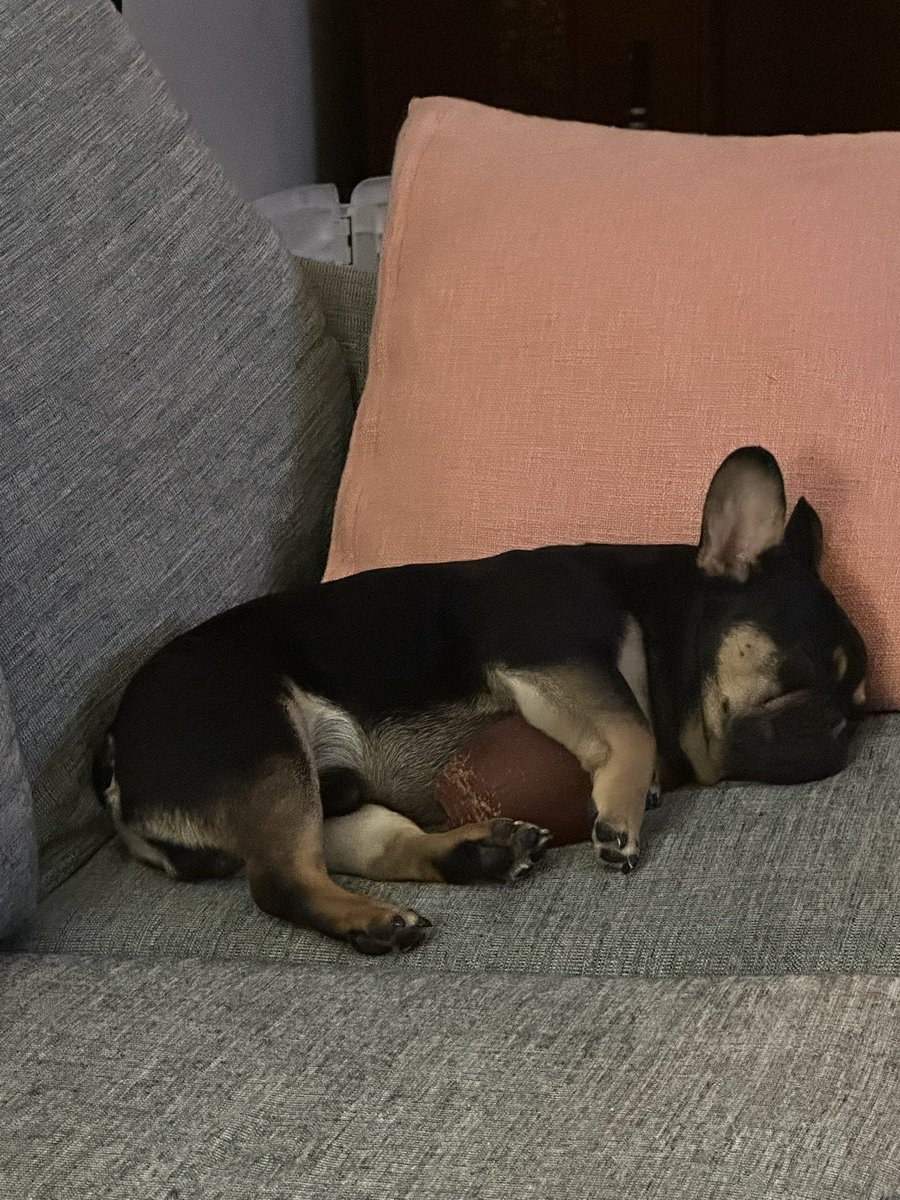 TechMomVB's tweet image. Our boy, @RockyBleier Havens…he’s got football in his blood 🖤💛