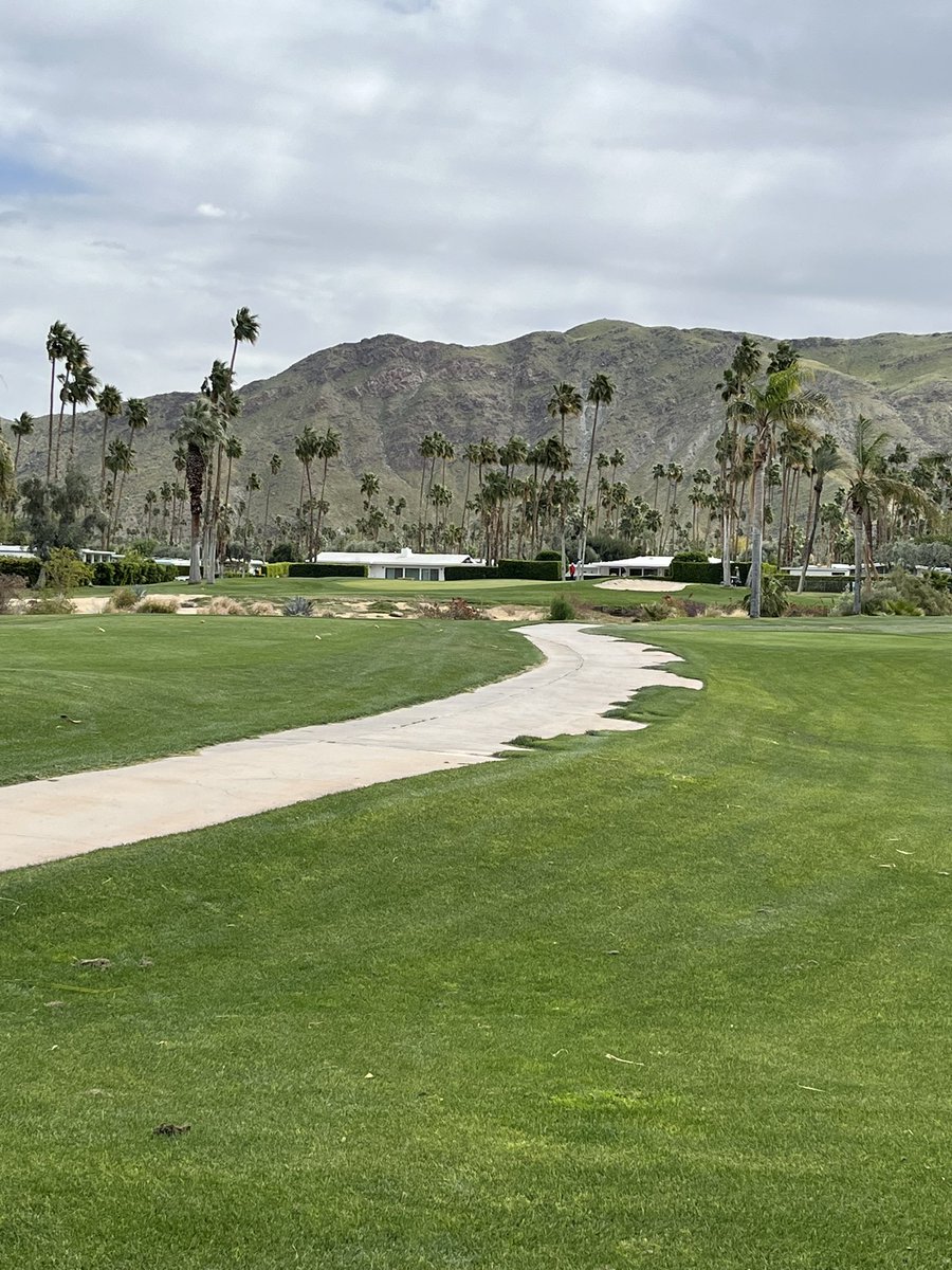 Nick_Dailey's tweet image. Indian Canyons north course. Loved the palm trees and a super fun course. Was blowing 35 at times so made it a bit of a challenge