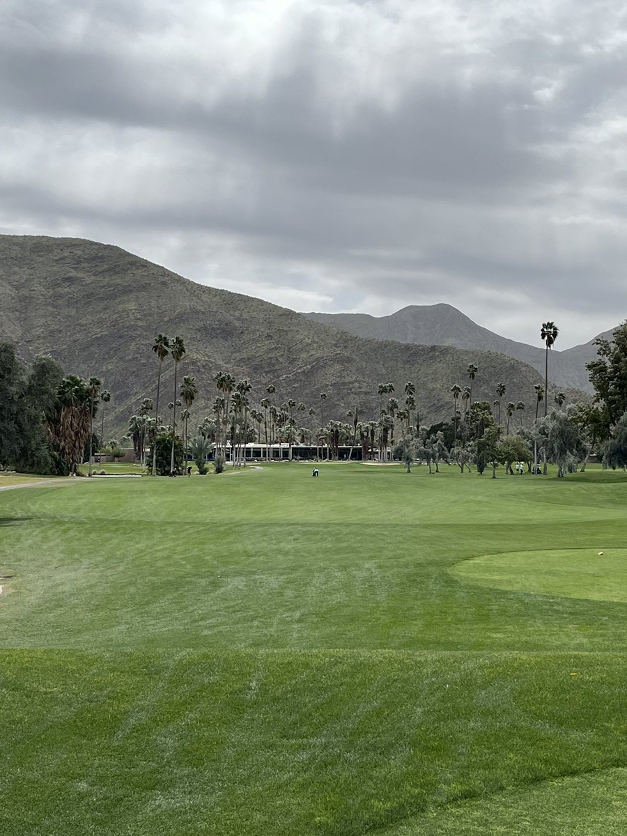 Nick_Dailey's tweet image. Indian Canyons north course. Loved the palm trees and a super fun course. Was blowing 35 at times so made it a bit of a challenge
