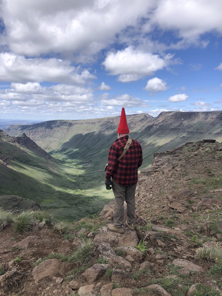 ThatGnomeGuy's tweet photo. @pnwguerrilla Kiger Gorge, OR … IYKYK https://t.co/9dtKXcsxAt
