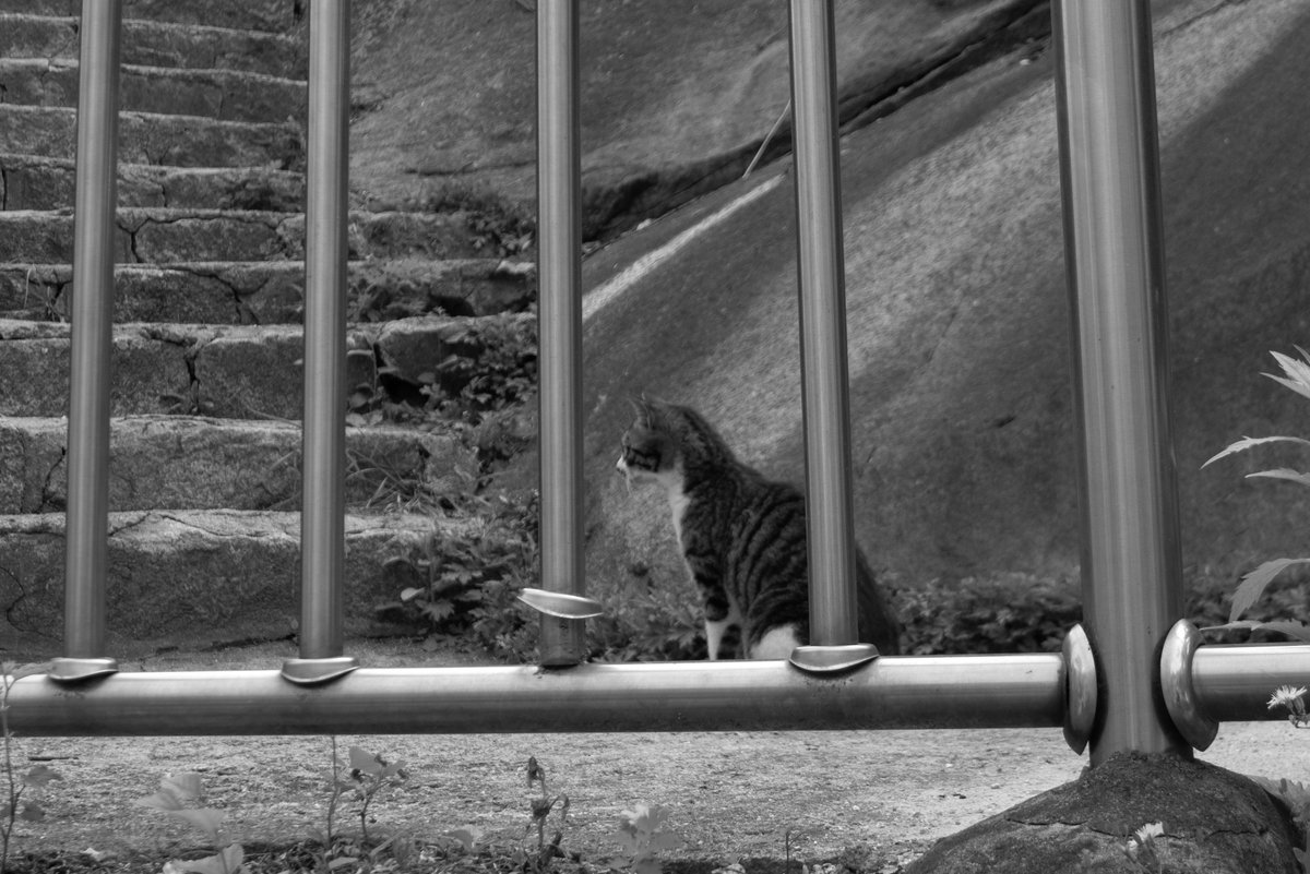 RPG (@ranpicgen) on Twitter photo 