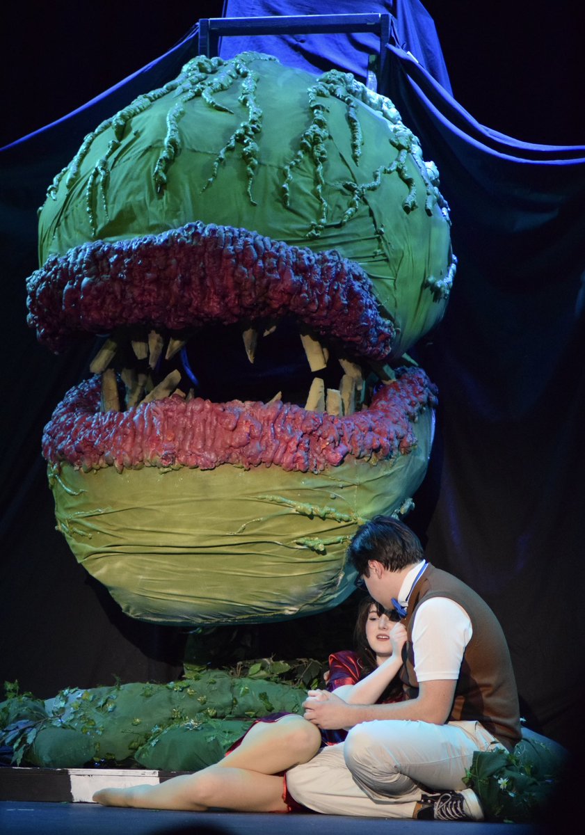 rgshaner's tweet photo. Little Shop of Horrors! 

#WeAreSeaforth #OneChatham https://t.co/43jBt6ATZf