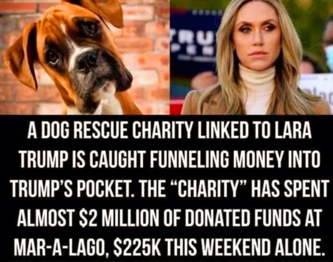 nolietees's tweet image. #LaraTrump  #timscott @GOP  #Trump