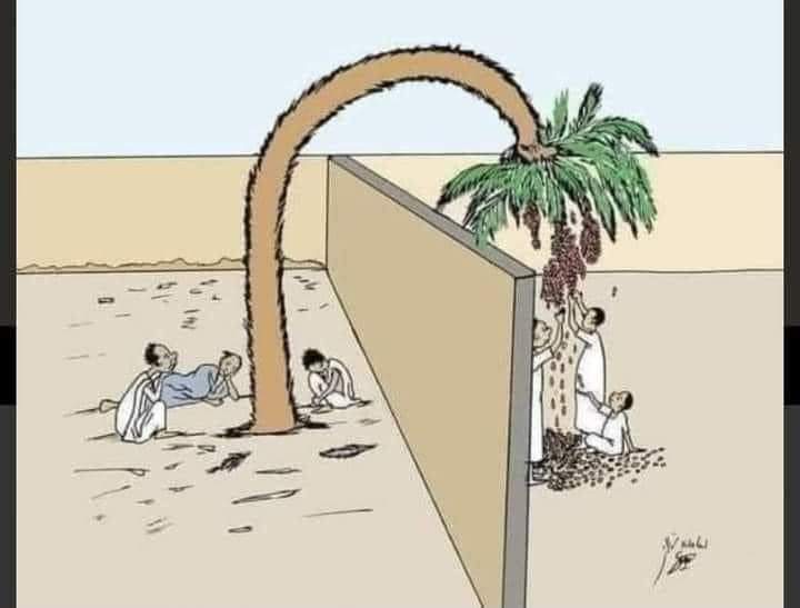7signxx's tweet photo. 𝘼𝘽𝙐 𝘿𝙐𝙅𝘼𝙉𝘼 𝘼𝙉𝘿 𝙏𝙃𝙀 𝘿𝘼𝙏𝙀 𝙋𝘼𝙇𝙈

"Is One Of The Best Islamic History you will Ever Read

Abu Dujana used to be in Fajr prayer behind the Holy Prophet Muhammad ﷺ, but he did not nearly finish his prayer until he left the mosque in a hurry, so this caught the attention of the Holy Prophet Muhammad ﷺ, so he stopped him one day and asked him, saying:

 - O Abu Dujana, do you not have a need with God?

 - Abu Dujana said: Yes, O Messenger of God, and I cannot do without Him for the blink of an eye.

Prophet Muhammad ﷺ said:
Then why don't you wait until you conclude the prayer with us and supplicate to God for what you want?

Abu Dujana said:
The reason for this is that I have a Jewish neighbor who has a palm tree with its branches in the bowl of my house, so if the wind blows at night, it drops its moisture with me, so you see me leaving the mosque in a hurry to collect that wet and return it to its owner before my children wake up, so they eat from it while they are hungry.

And I swear to you, O Messenger of Allāh Muhammad ﷺ, That I saw one of my children chewing a date of this wet, so I put my finger in his throat and pulled it out before he swallowed it, and when my son cried, I said to him: Are you not ashamed of me standing before God as a thief?

When Abu Bakr heard what Abu Dujana said, he went to the Jew and bought the date palm from him and gave it to Abu Dujana and his children.

And when the Jew learned the truth of the matter, he quickly gathered his children and his family, and went with them to the Prophet, announcing their entry into Islam.

Abu Dujana was afraid that his children would eat from the palm of a Jew and not a Muslim, so what about someone who eats the money of millions of Muslims and says he is wise!!

May Allah help Us To Remain Steadfast And Honest 

This was how they were, advocates of their attitudes stemming from their deep faith, and their high-end dealings, which are a reflection of their faith in Islam and Almighty Allāh."