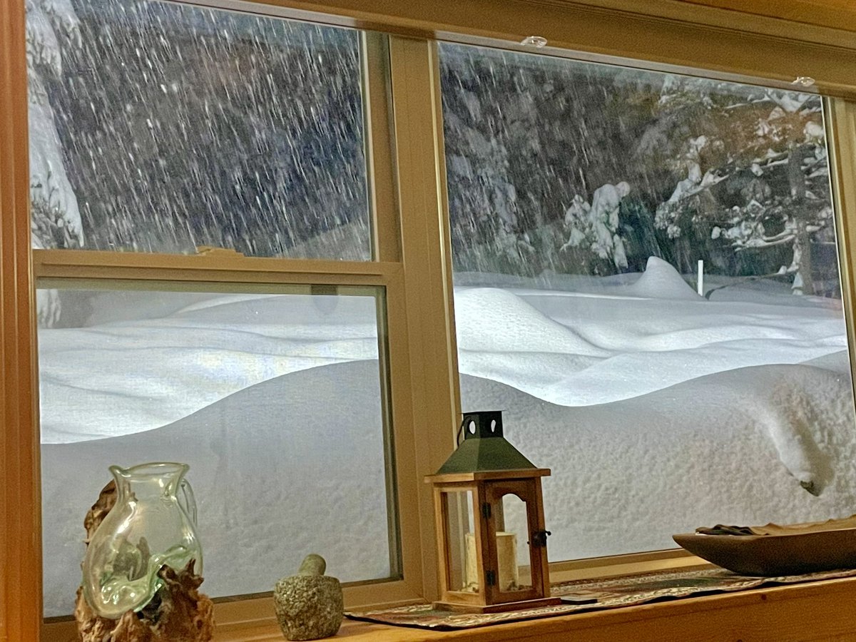 1000CrazyWomen's tweet photo. More snow through the evening. This is crazy. #Snowstorm2024 #EvergreenCO https://t.co/Lr7b48h4JA