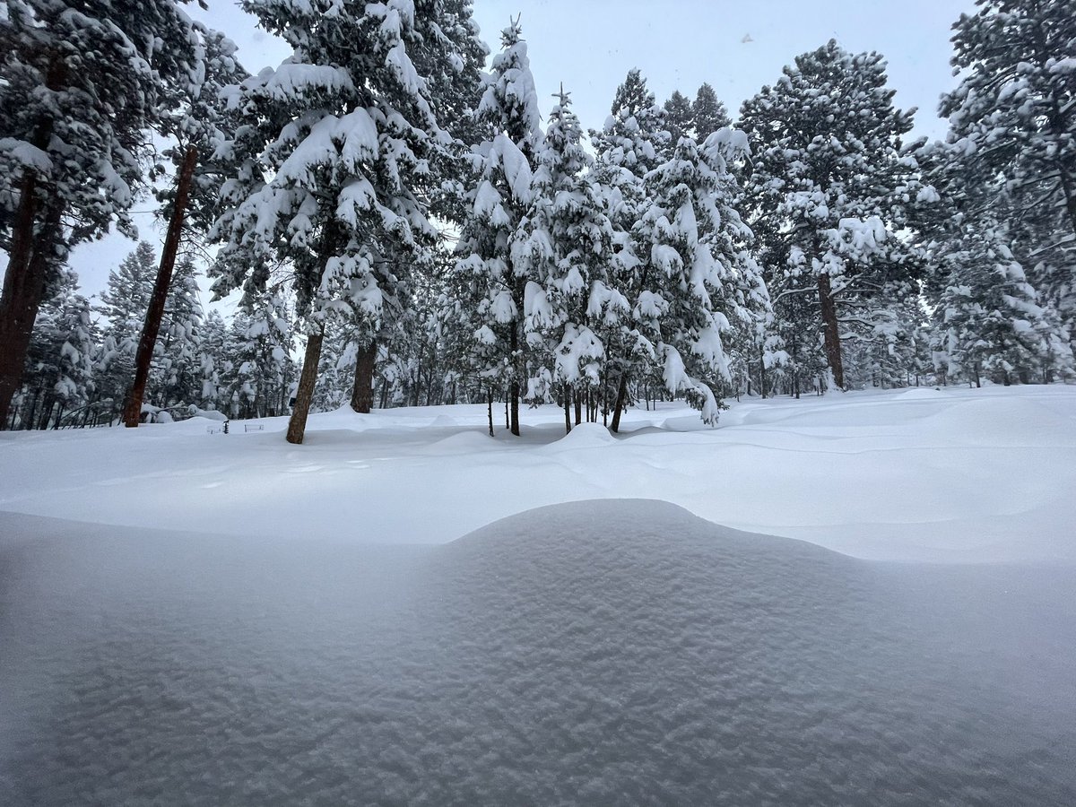 1000CrazyWomen's tweet photo. More snow through the evening. This is crazy. #Snowstorm2024 #EvergreenCO https://t.co/Lr7b48h4JA