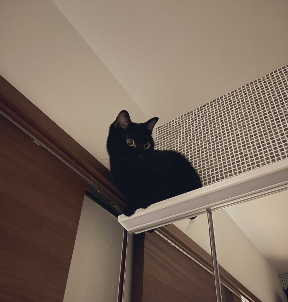 ついにそこまで登ったのねー🥲