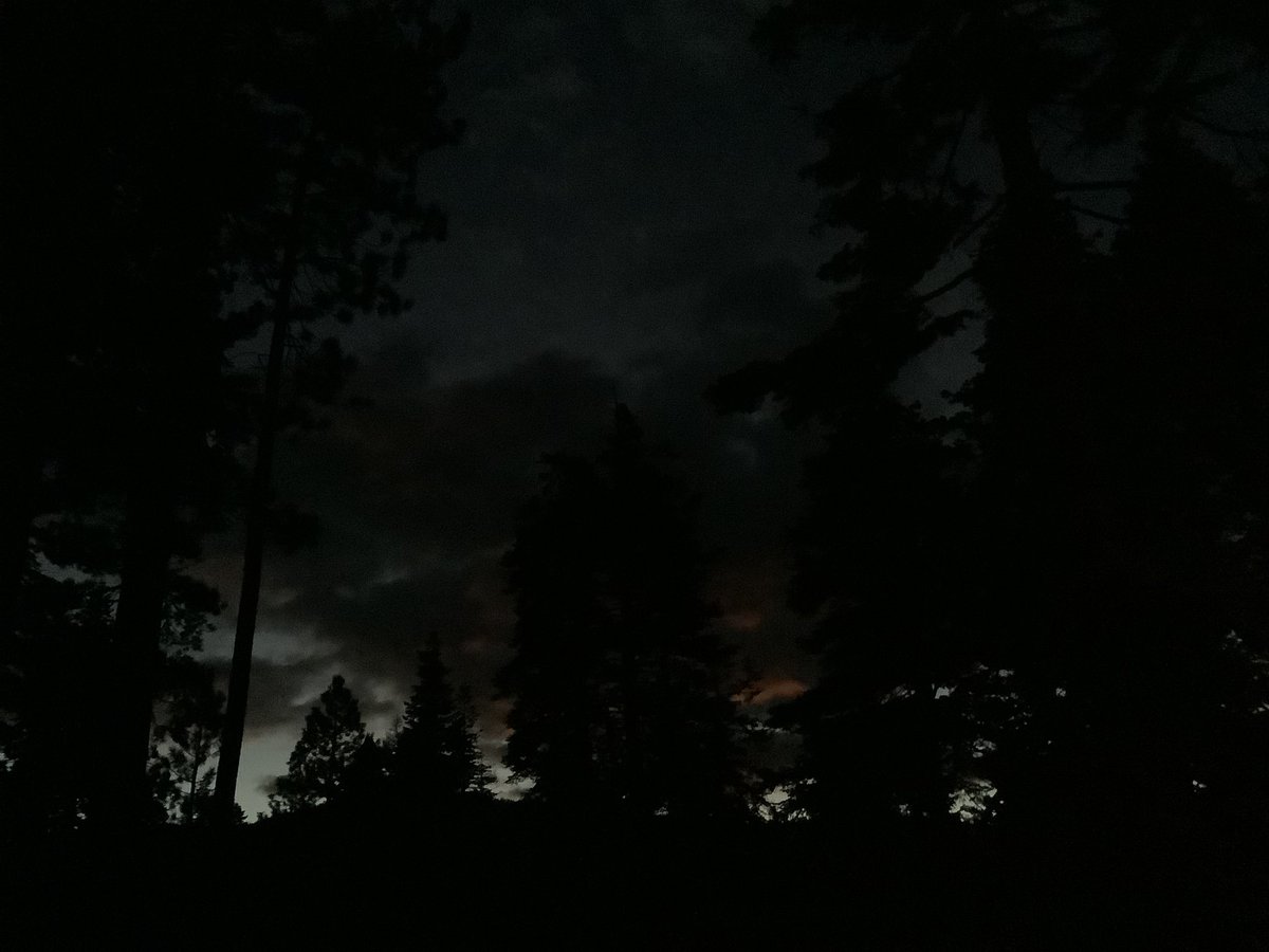 Nightfall thru the forest. #cabinlife