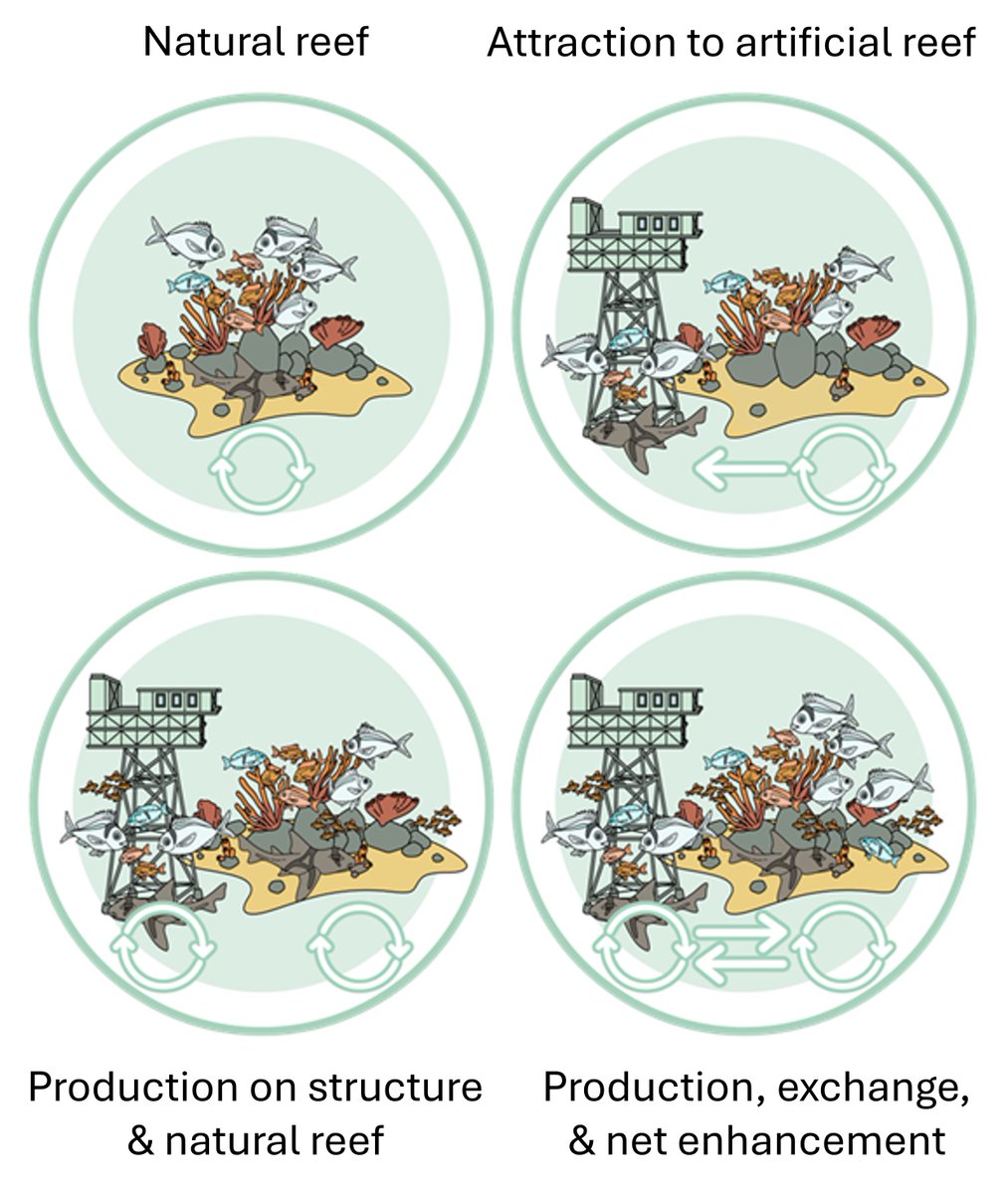 New study out assessing fish productivity on offshore oil and gas platforms in South Australia by <a href="/Matthew_J_Birt/">Matthew Birt</a> and team <a href="/aims_gov_au/">Australian Institute of Marine Science</a> <a href="/CurtinUni/">Curtin University</a> <a href="/Deakin/">Deakin University</a> <a href="/CalPoly/">Cal Poly</a> <a href="/Occidental/">Occidental College</a> 
sciencedirect.com/science/articl…