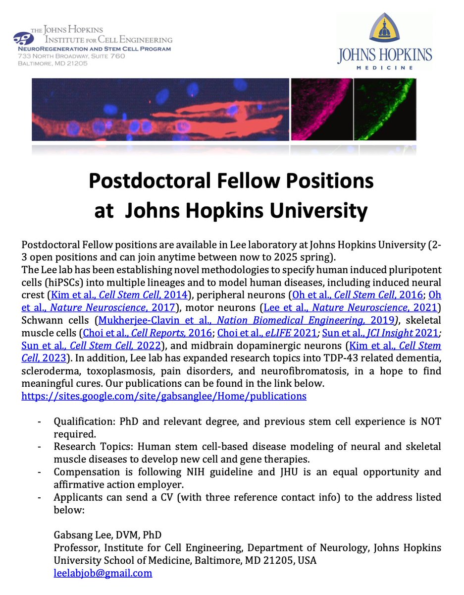 3 Postdoctoral Fellow positions are available in my laboratory at Johns Hopkins University. Please send your CV to leelabjob@gmail.com