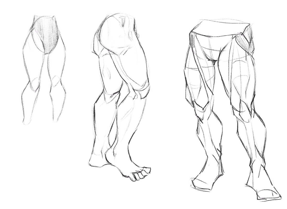 ssshockzz's tweet photo. Today’s study - Legs :0 #sketch https://t.co/Gksvd17vnD