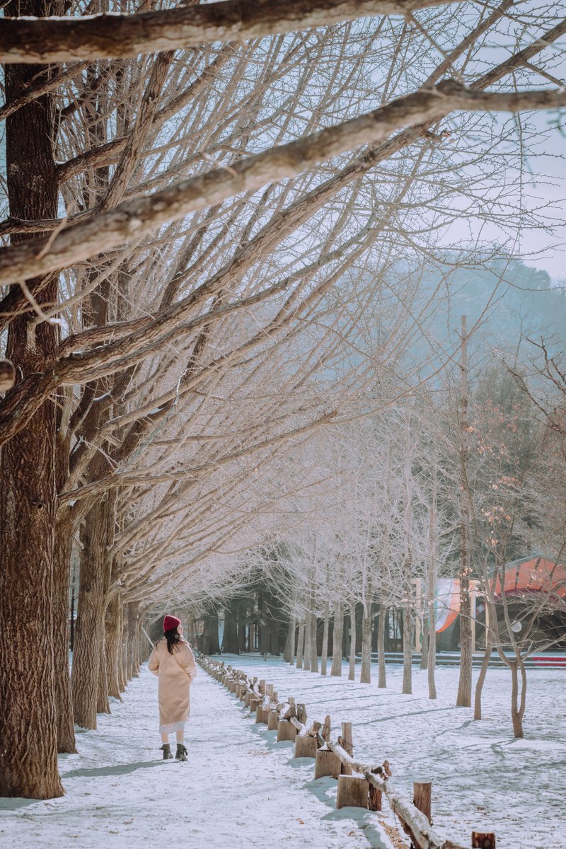 bdrc1989's tweet photo. Travel with wifey at Korea 

Sony A7m3
FE 20-70mm f/4 G
STC Pure Hybrid CPL

#カメラ好きな人と繋がりたい #写真好きな人と繋がりたい #写真撮ってる人と繋がりたい #ファインダー越しの私の世界 #写真で伝えたい私の世界 #Sony #Korea #travel #asdgraphy #wife #honeymoon https://t.co/YzFvpaKFUO