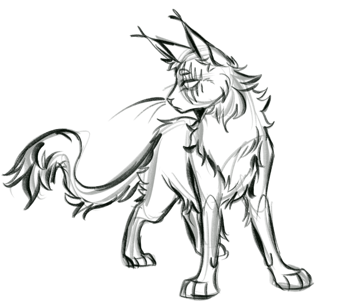 Lunmiarr's tweet photo. kitty doodle 
#warriorcats #ocart https://t.co/koCpCQfb5X